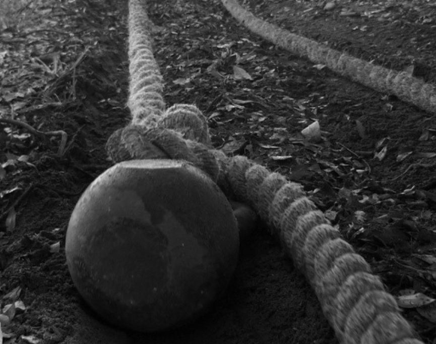 battling rope pulls